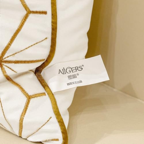 Avigers Throw Pillow Cover 18 x 18 Inch, White Gold, Velvet, Hidden Zipper - color: White, Gold, size: 18" x 18" (Pack of 1)
