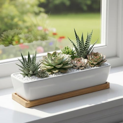 White Ceramic Succulent Planters, Indoor and Outdoor Succulent Planters, Set of 2 Cactus Containers, Bonsai Pots, Flower Pots with Drainage Hole and Bamboo Bowl (No Plant) - color: Thin Rectangle