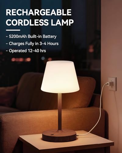 SAIWEYA Outdoor Waterproof Shower Lamp, 5200mAh Rechargeable Bathroom Lamp - color: Dark Walnut, size: 5200mAh