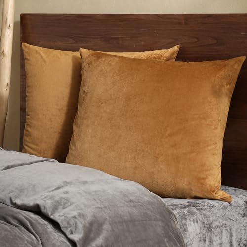 PHF Velvet Euro Shams 26" x 26", Brownish Camel, No Insert, 2 Pack - color: Brownish Camel, size: 26" x 26" (Pack of 2)