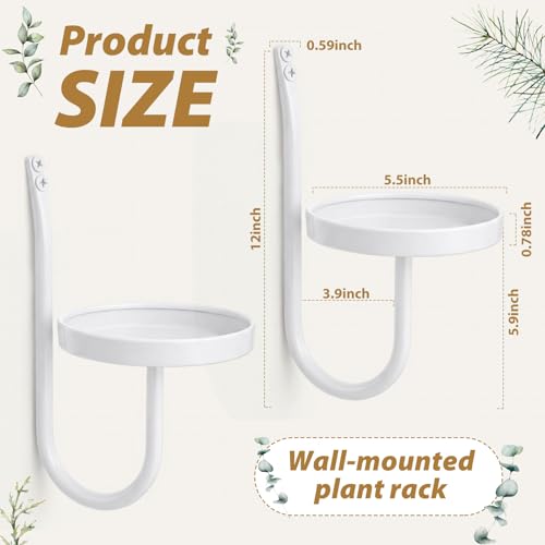 2 Pcs Wall Plant Holder Wall Mounted Hanging Planters for Indoor Plants Planters Shelf Metal Floating Stand for Living Room Bathroom Window(White)