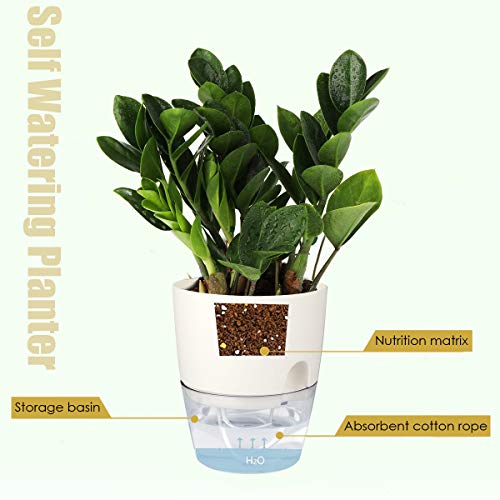 Vanavazon 6 Inch Self Watering Pots for Indoor Plants African Violet Pots - color: White