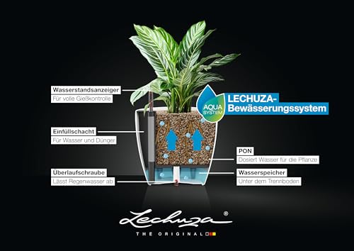 Lechuza 13210 Classico 35 Self-Watering Planter for Indoor and Outdoor Use, 14" x 14" x 13", White Matte - color: White Matte, style: 35