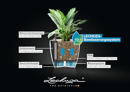 Lechuza 13210 Classico 35 Self-Watering Planter for Indoor and Outdoor Use, 14" x 14" x 13", White Matte - color: White Matte, style: 35