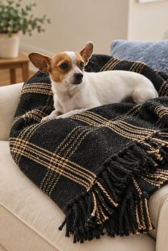Plaid Black & Tan Fringed Woven Cotton Blend Throw - color: Black, size: One Size