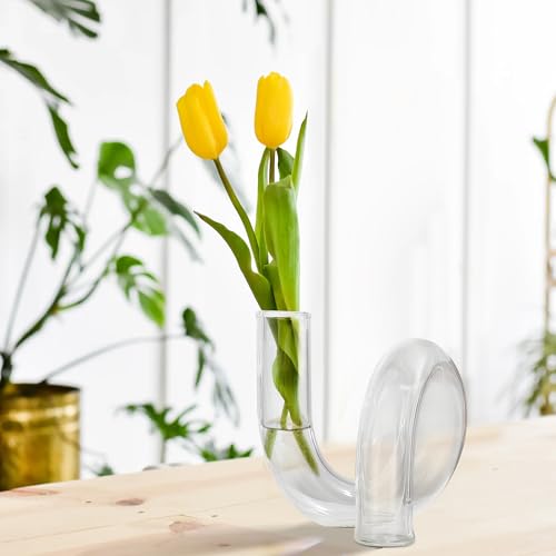 Joeyan Handmade Small Glass Flower Vase,Decorative Geometric Glass Bud Vase - color: Clear