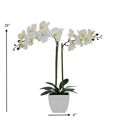 Nature's Elements Tabletop Artificial Orchid Flower (White) - color: White