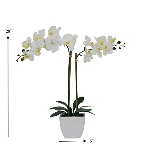 Nature's Elements Tabletop Artificial Orchid Flower (White) - color: White
