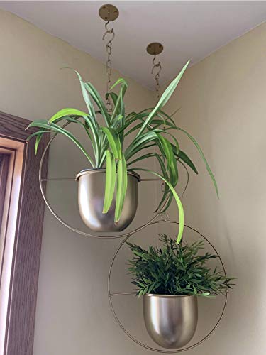 2 Pack Gold Hanging Planter with 5.5" Pot, Gold Plant Hanger - color: Gold X 2