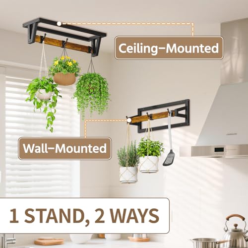 LASZOLA Plant Hanger Holder Shelf Indoor Window Wall Mount, 2 Pack Brown - color: Black+Brown, size: 2