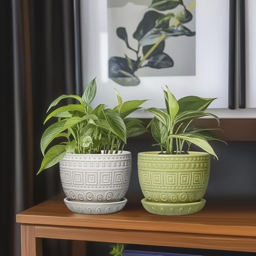 G EPGardening Ceramic Pots for Plants 5.5 Inch Round Ceramic Planter, Green - color: Palindrome Green