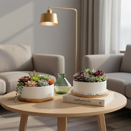 White Ceramic Succulent Plant Pots, Set of 2 Round Planter Small Cactus Container, Bonsai Pots, Succulent Pots with Drainage Hole& Bamboo Tray (No Plant) - color: Round*2