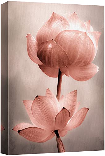 wall26 Canvas Wall Art - Closeup of Lotus Flower - Gallery Wrap Modern Home Art | Ready to Hang - 12x18 inches - color: Artwork - 06, size: 18"L x 12"W