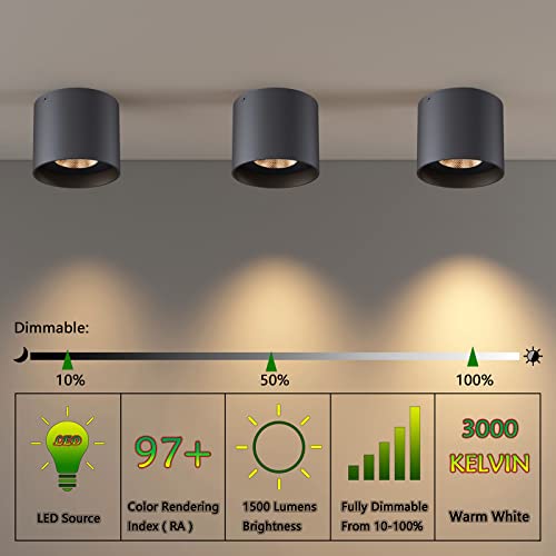 Ceiling Light Fixture, Flush Mount Ceiling Lights LED Dimmable Cylinder Ceiling Light Spot Light for Living Room Hallway Kitchen Dining Room Foyer 3000K 14.5W (Black) 2-Pack - color: Black 2pack