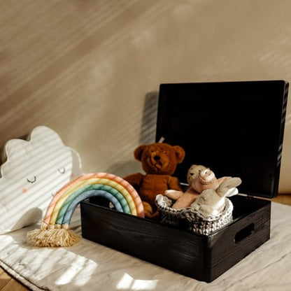 Creative Deco XL Black Wooden Box Storage with Hinged Lid - color: Black, size: XL | Handles