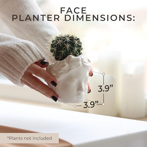 Small Head Planter - Ceramic Face Planter Pots for Indoor Plants, Cute Funny Succulent Pot with Drainage Hole, Unique Gift, 3.9" - color: White
