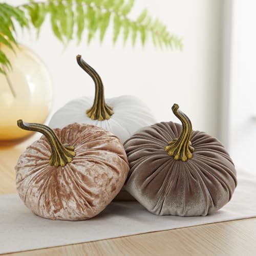Your Heart's Content Ivory 6.25 inch Velvet Pumpkin (Ivory) - color: Ivory