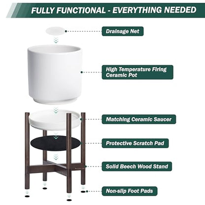 D'vine Dev Ceramic Pot with Walnut Wood Stand, White, 8 in, 55-B-Y-1 - color: White Pot + Walnut Color Stand, size: 8 Inch