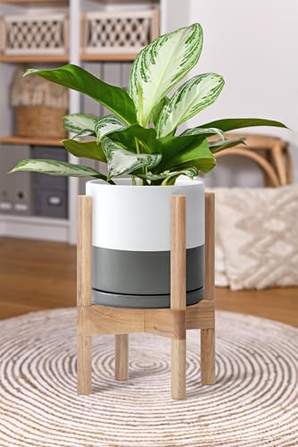 D'vine Dev Ceramic Pot with Natural Wood Stand, White/Grey, 8 in, 55-B-N-6 - color: White/Grey Pot + Natural Stand, size: 8 Inch