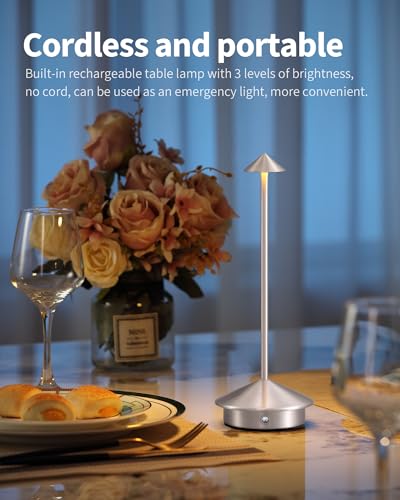Modern Cordless Table Lamp Set of 2, Brushed Nickel LED Desk Lamps - color: Brushed Nickel (2 Pack)