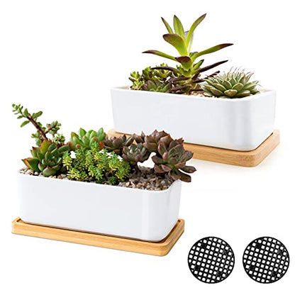 White Ceramic Succulent Planters, Indoor and Outdoor Succulent Planters, Set of 2 Small Cactus Containers, Bonsai Pots, Flower Pots with Drainage Hole and Bamboo Bowl (No Plant) - color: Rectangular