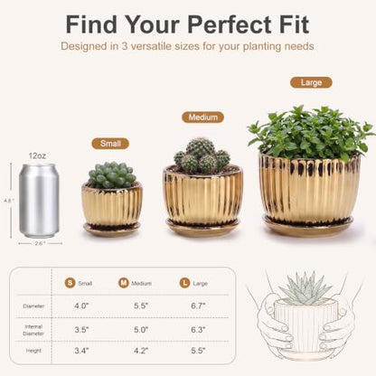 Plant Pots,Ceramic Flower Pots with Drainage Holes & Saucers Set of 3（Gold） - color: Gold