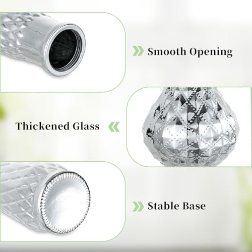 Glasseam Silver Glass Vase for Single Flower: 4 Pcs Small Decorative Vases - size: 4pcs
