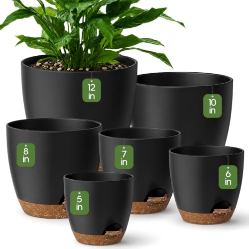 6 Size Self Watering Pots for Indoor Plants, Flower Plant Pot, Black - color: Black