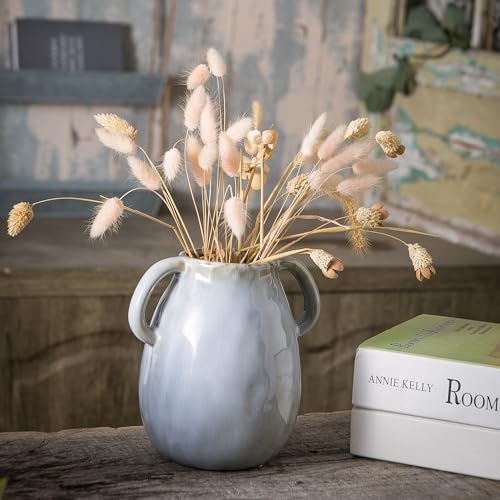 Tanvecle Gray Ceramic Vase with Handles, 7" Modern Farmhouse Decor - color: Gray