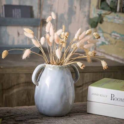 Tanvecle Gray Ceramic Vase with Handles, 7" Modern Farmhouse Decor - color: Gray