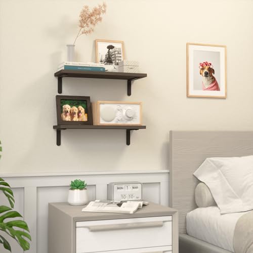 RICHER HOUSE Rustic Wood Floating Shelves, 2-Set Wall Mounted Shelves, 16In - color: Deep Brown