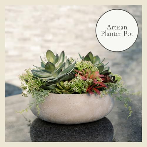 CG Hunter, Round Faux Succulent Arrangement, 14 in, Natural, Home Decor - size: 14" Round Natural