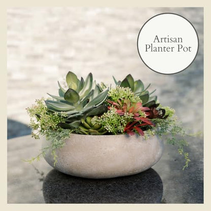 CG Hunter, Round Faux Succulent Arrangement, 14 in, Natural, Home Decor - size: 14" Round Natural