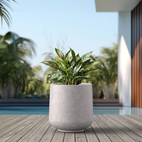 Kante Large Round Curved CON Gray Concrete Planter 16.5" Dia, Outdoor - color: Light Gray, size: 15.3" D