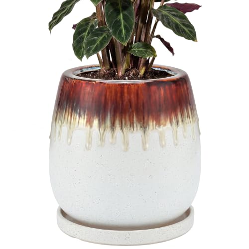 10.3 Inch Ceramic Glaze Plant Pot with Saucer, Flower Pots with Drainage Hole Mesh Net (Hemp-White) - color: Hemp White