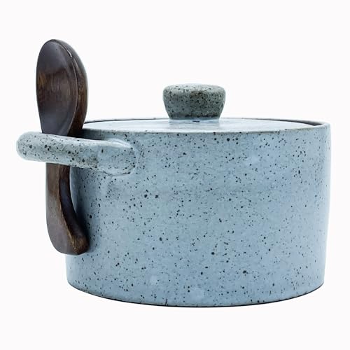 12 oz Ceramic Salt Cellar with Lid & Wooden Spoon,Countertop Salt Container,Sugar Bowl,Spices Jar| Artisan Kitchen Decor(Gray) - color: Gray B