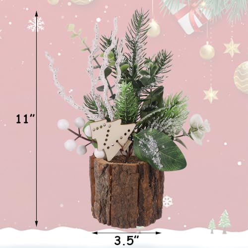 winemana Christmas Table Decorations Indoor Xmas Centerpieces Decor, 3 Pack - size: Style 1