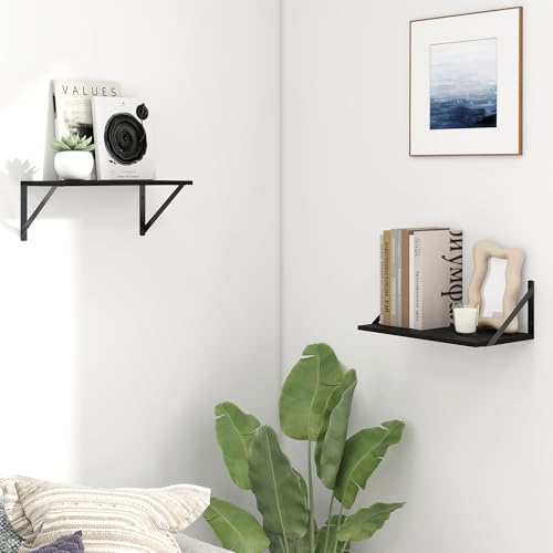 Fun Memories Deep Floating Shelves for Wall, 16W x 8D Wall Mounted Shelves Set of 2, Wide Display Ledge Shelf with Sturdy Metal Brackets for Living Room, Bathroom, Bedroom and Kitchen, Black - color: Black, size: 16"L x 8"D