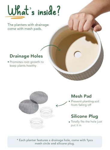 LE TAUCI Succulent Pots, 6.5+8 Inch Ceramic Indoor Plant Pot with Drainage Hole, Shallow Round Succulent Planters, Set of 2, Matte White - color: White