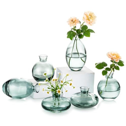 Glasseam Glass Bud Vase for Centerpieces, 6Pcs Green Small Flower Vase Set - color: Green, size: 2 Sets