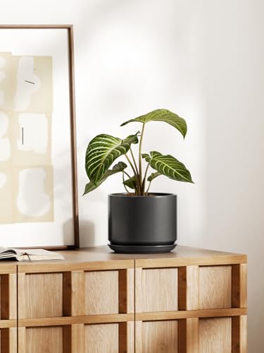 LE TAUCI 8 Inch Plant Pot, Ceramic Pots for Plants, Black - color: Black, size: 8"