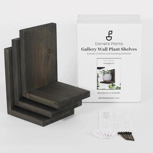 Daniel's Plants 3-Pack Mid-Century Modern L-Shaped Floating Shelves | Solid Wood Plant Wall Shelf Kit | Dusk Grey - color: Dusk Grey