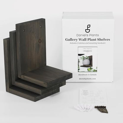 Daniel's Plants 3-Pack Mid-Century Modern L-Shaped Floating Shelves | Solid Wood Plant Wall Shelf Kit | Dusk Grey - color: Dusk Grey