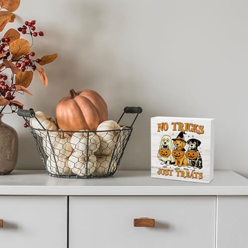 JHFDTY No Tricks Just Treats Dog Pumpkin Halloween Decorations Sign - color: Treats