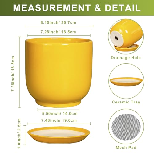 Ceramic Plant Pot 8 Inch, Indoor Planter, Yellow - color: Gloss Yellow, size: 8 Inch