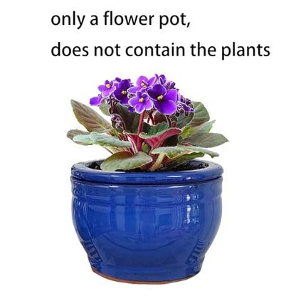 African Violet Pots Self Watering Blue 6 inch - color: Blue