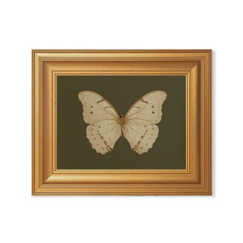 EJPFOGV Butterfly Framed Canvas Wall Art Dark Green Background 8x10 inches - color: Butterfly, size: 10"L x 8"W