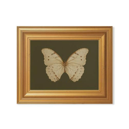 EJPFOGV Butterfly Framed Canvas Wall Art Dark Green Background 8x10 inches - color: Butterfly, size: 10"L x 8"W