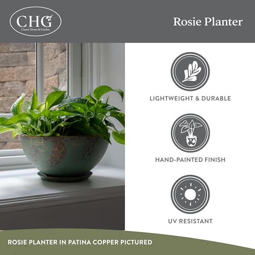 GROWSCAPE Rosie Planter Bowl, with Drainage and Saucer, 10” Earth - color: Earth