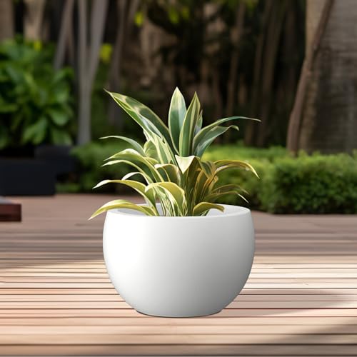 Kante Accent Round Bowl White Concrete Planter 15.7" Dia, Outdoor - color: Pure White, size: 15.7" d